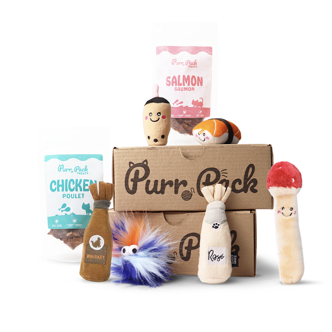 Purr Pack Cat Box