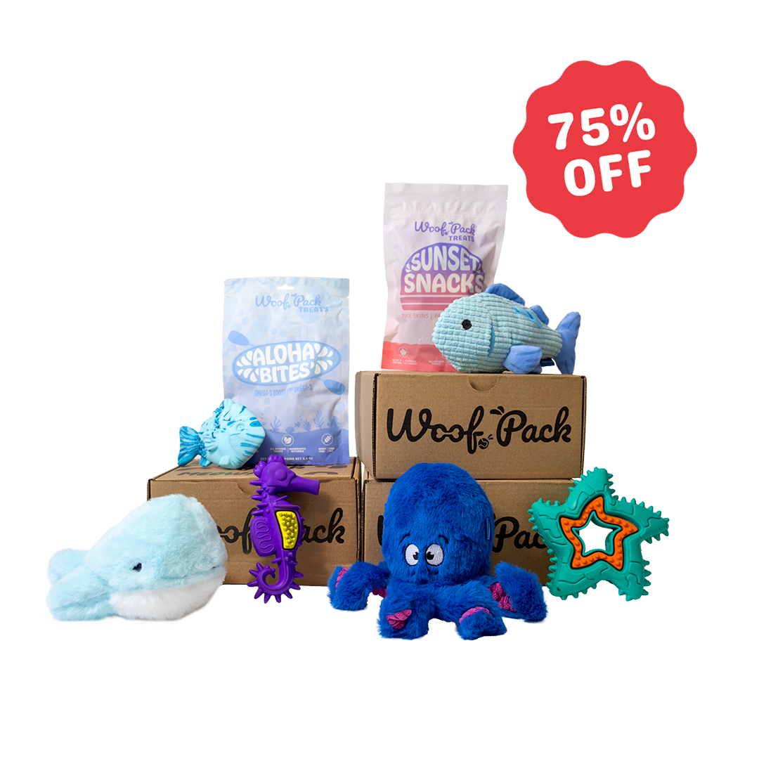 12 Month Subscription: Combo 75% Off 1st Box