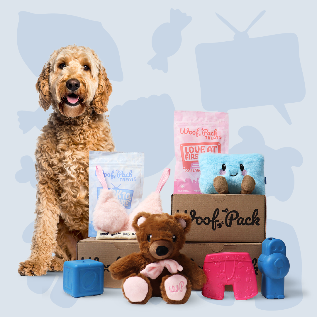 Woof Pack - Trial Box