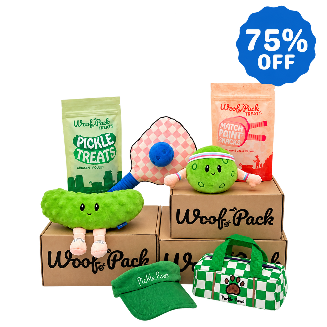 6 Month Subscription: 75% Off 1st Box