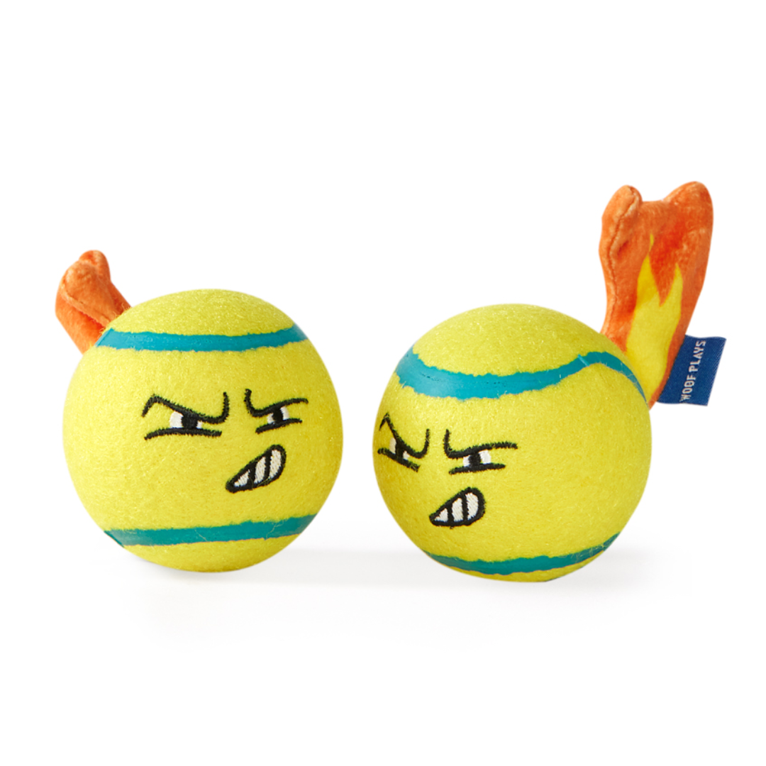 Woof Plays - Federer's Ace Balls