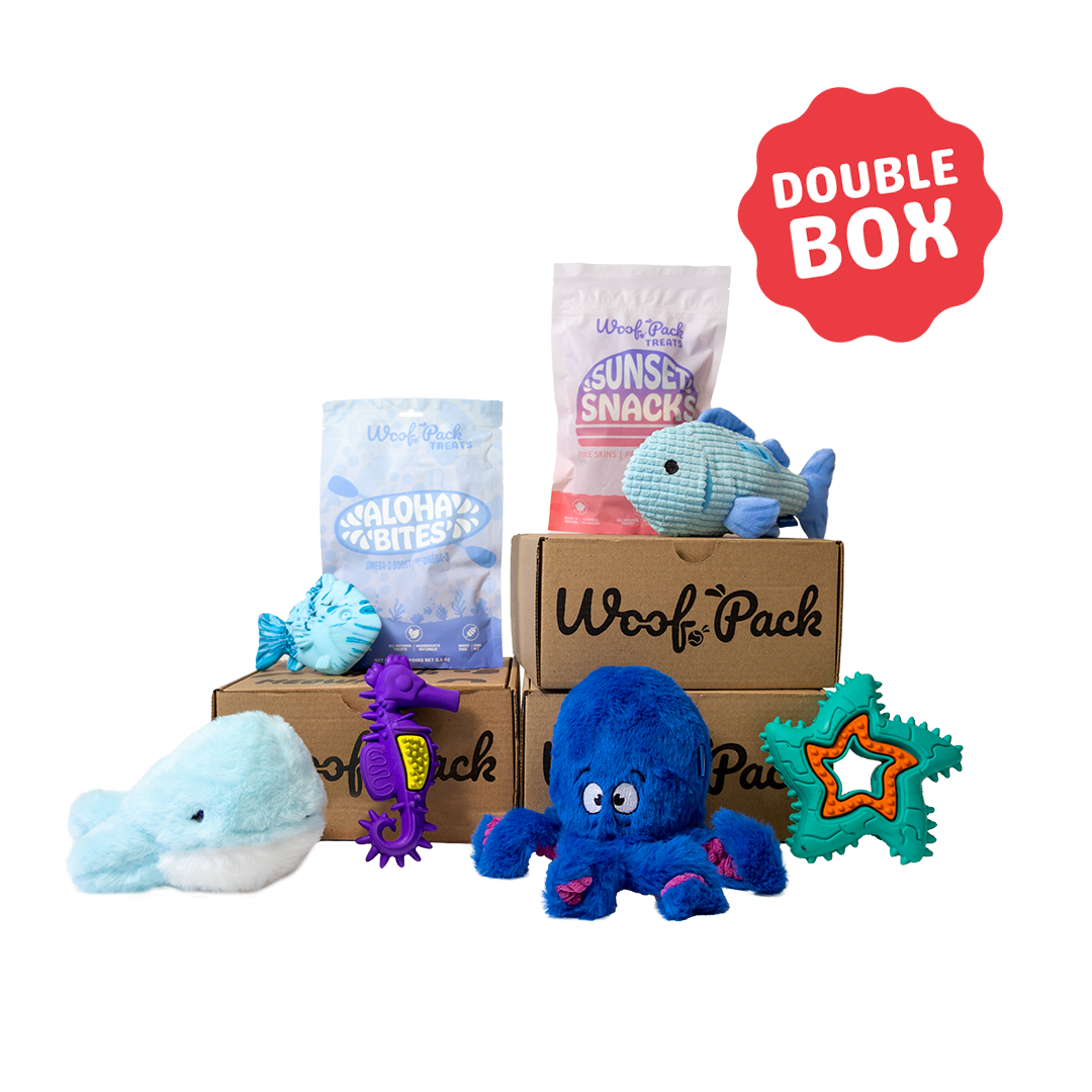 12 Month Subscription: Combo Double 1st Box