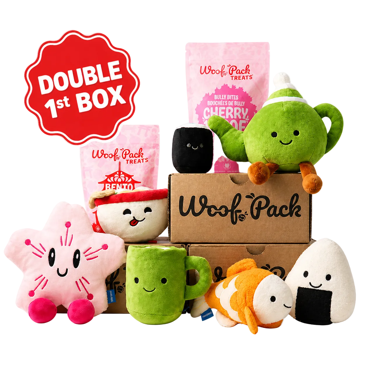 12 Month Subscription: Double 1st Box