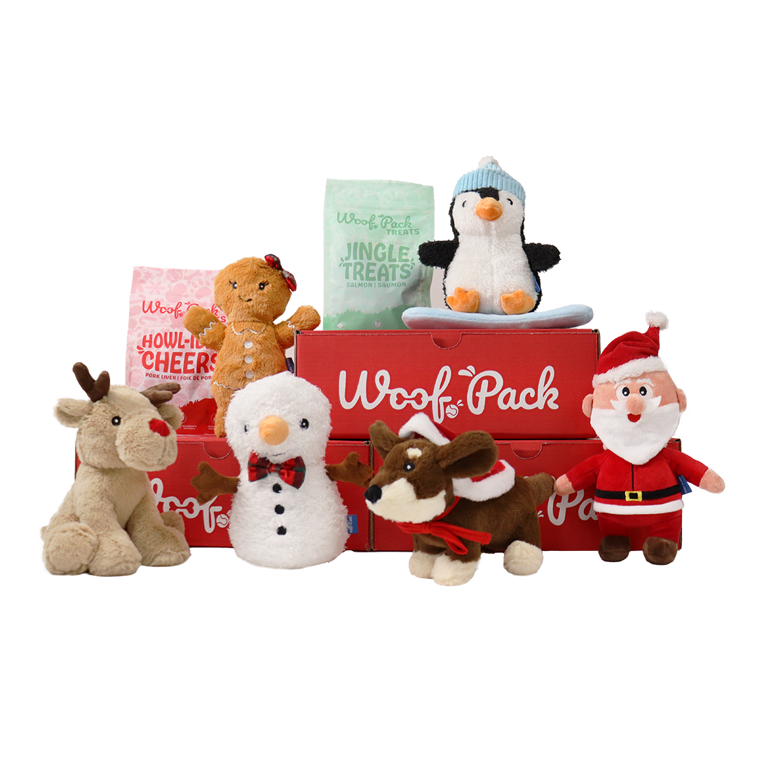 Free Christmas Box & Shipping